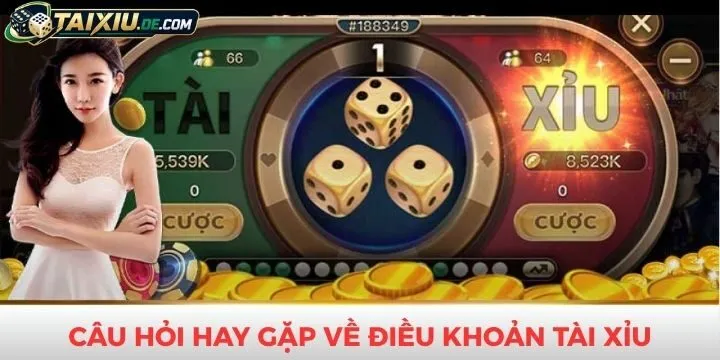 Một vài câu hỏi liên quan đến điều khoản sử dụng