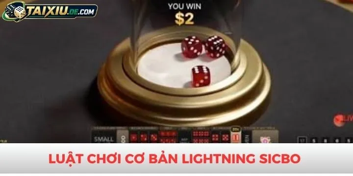 Người chơi hiểu rõ về tựa game Lightning Sicbo trước khi cá cược
