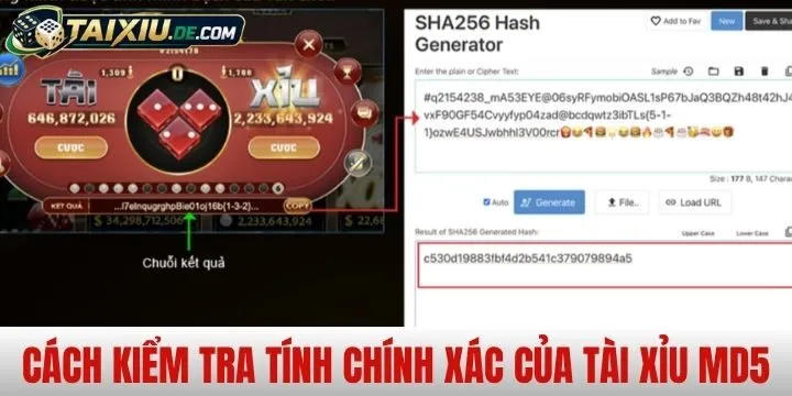 Cách kiểm tra tính minh bạch của kết quả bằng MD5