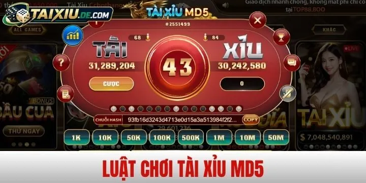 Phổ cập luật chơi Tài Xỉu MD5