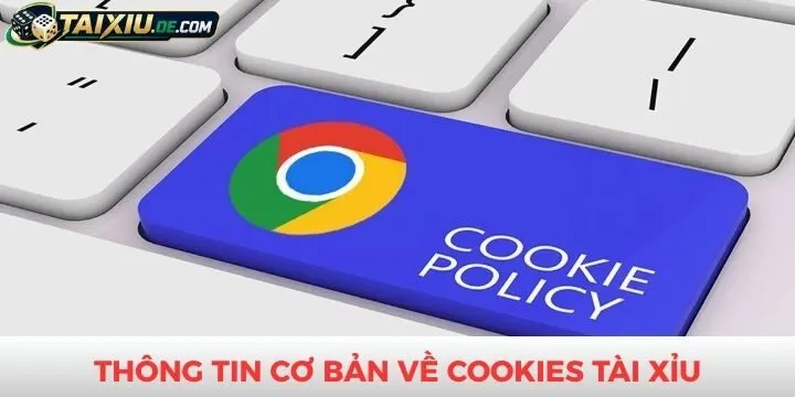 Tìm hiểu chính sách Cookies đang áp dụng